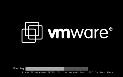 VMware BIOS is loading
